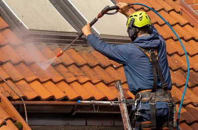 Démoussage et hydrofuge de toiture à Hommes